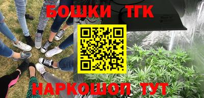 гидра Кинель