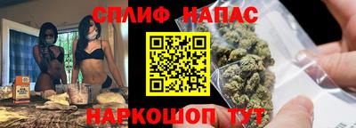 наркотики Кингисепп