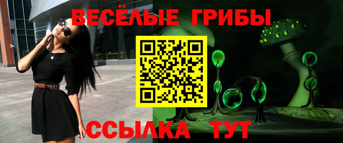 Псилоцибиновые грибы Psilocybe  Вход с VPN  цена наркотик  Медногорск  Галлюциногенные грибы GOLDEN TEACHER 
